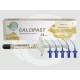 CALCIPAST