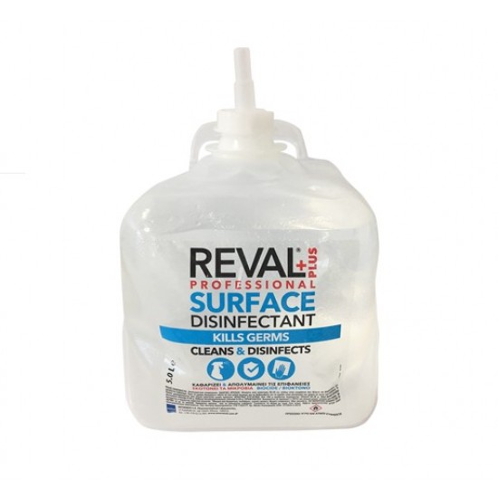 REVAL PLUS PROFESSIONAL (5lt)