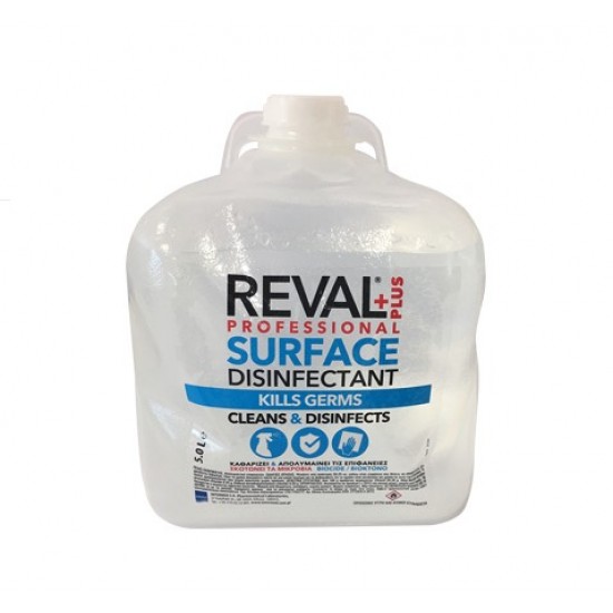 REVAL PLUS PROFESSIONAL (5lt)