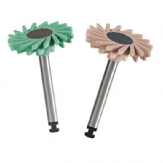 SHAPEGUARD ΓΙΑ ΖΙΡΚΟΝΙΟ